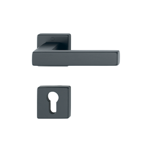 HOPPE® Austin Drückergarnitur mit Rosetten 1769/843KV/843KVS, mit PZ Lochung